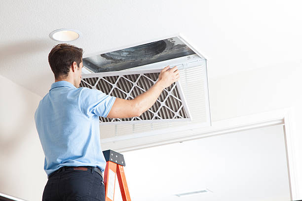 Best Air Filters and Purifiers in Ashburn, GA